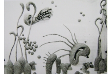 Sculpture Installations