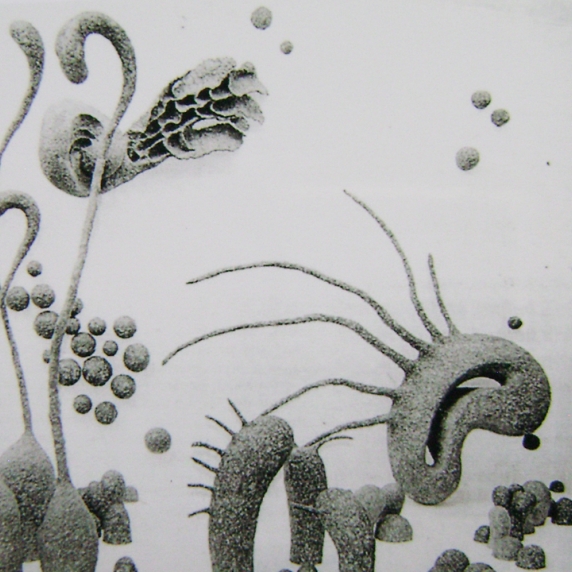 Sculpture Installation 019.jpg