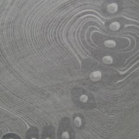 8 6c2ef5f665730d23f4d6054a50ea9363.jpg