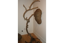 Sculpture Installation